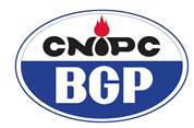 BGP INC PERU SAC