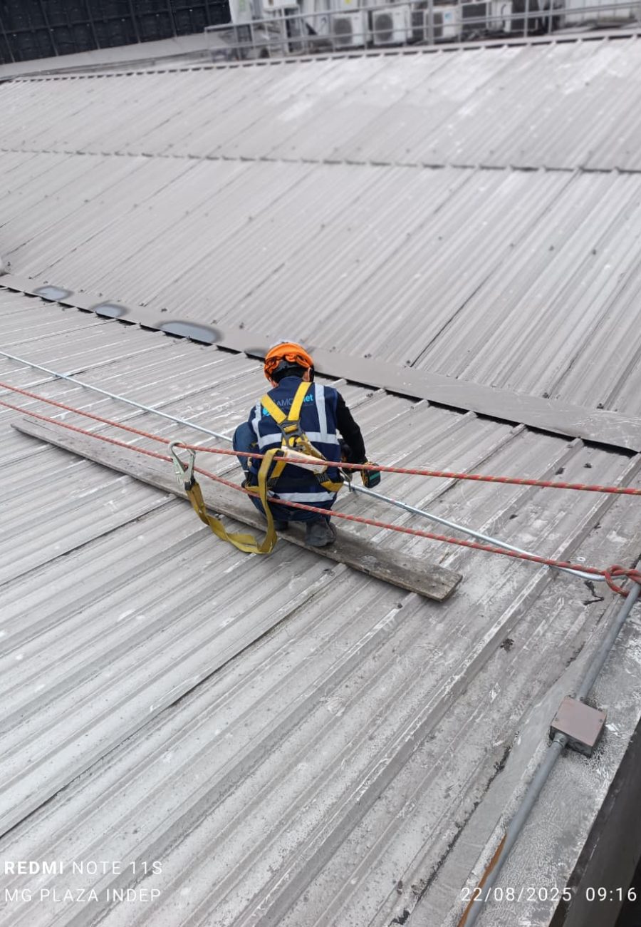 WhatsApp Image 2025-09-11 at 10.17.16 (1)