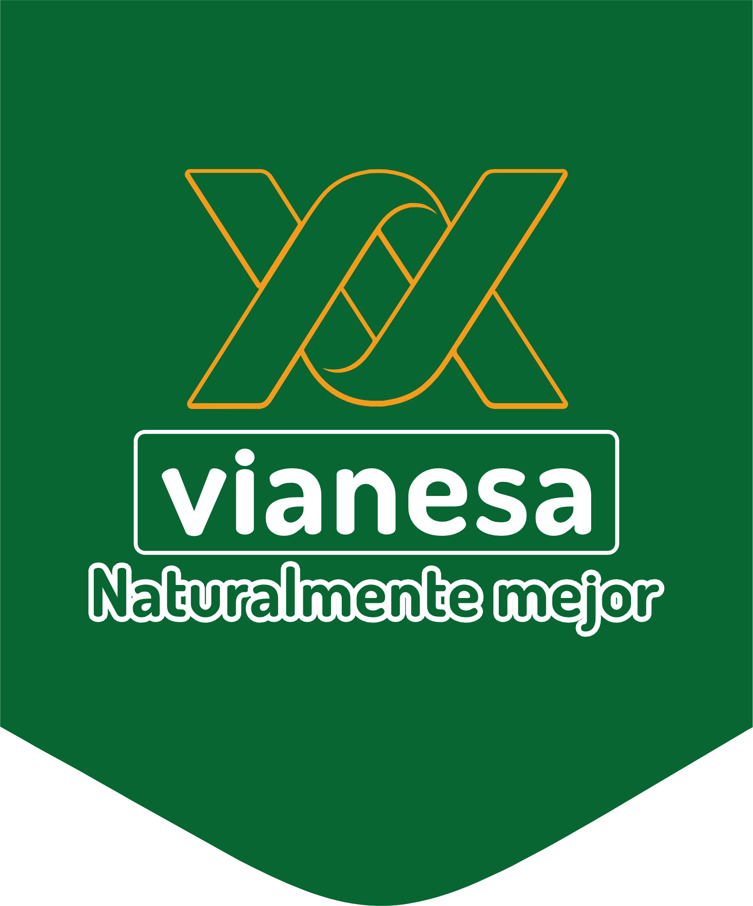 logo-blanco-vianesa 2